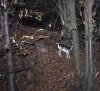 IMG_20181116_194424.jpg