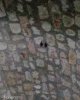 IMG-20181207-WA0005.jpg