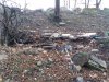 20181227_160809.jpg