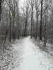IMG_20190127_155606.jpg