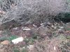 20181230_103442.jpg