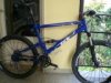 CIMG0204bike.JPG