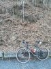 IMG_20190216_145155.jpg