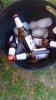 IMG-20190302-WA0000.jpeg