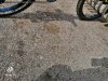 IMG_20190308_105636.jpg