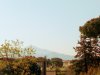 IMG_20190417_091833~3.jpg