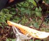 IMG_20190422_111408~2.jpg