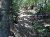 20190428_184648.jpg