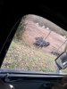 IMG_20190102_161159.jpg
