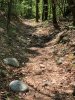 IMG_6400.jpeg