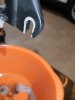 IMG_20190617_183932.jpg
