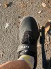 IMG_6993.jpeg