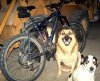 100_0611.jpg