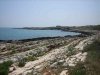 mtb_cozze_006.jpg