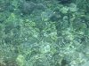 mtb_cozze_008.jpg