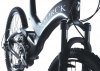 storck2006_.jpg