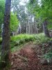 DSC07077.JPG