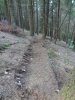 DSC07103.JPG
