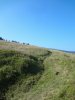 DSC07111.JPG