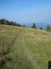 DSC07118.JPG