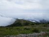 IMG_20190812_123739.jpg