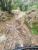 IMG_20190815_104553.jpg