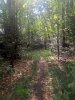 IMG_20190815_095310.jpg