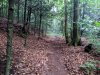 IMG_20190819_101134.jpg