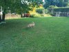 IMG_20190721_174748.jpg