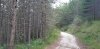 20190824_094155.jpg