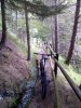 IMG_20190907_102331.jpg