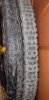 20190908_182341.jpg