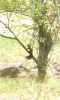 Screenshot_20190917-224222.png