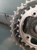 20190928_101547.jpg