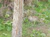 IMG_20190930_160729.jpg