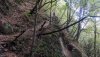 IMG_20191005_115835.jpg