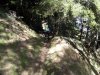 IMG_20191005_122030.jpg