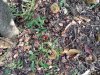 IMG_20191005_100546.jpg