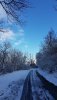 20181212_125715.jpg