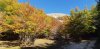 20191019_120938.jpg