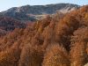 _1040826.jpg