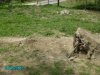 spot 009 (340 x 255).jpg