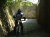 DSCF2595.jpg