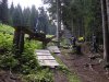 IMGP3752.jpg