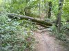 DSC00894.jpg