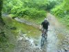 DSC02298.jpg