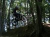 DSCN6329.jpg