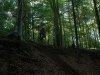 DSCN6346.jpg