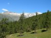 DSCN6363.jpg