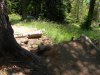 DSCN6383.jpg